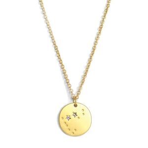Lucky Feather Gold Tone Zodiac Necklace Capricorn Crystal Accents New